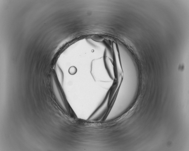 X0000091561210200709141529