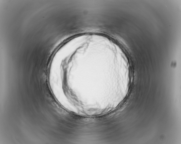 X0000091561212200709141529