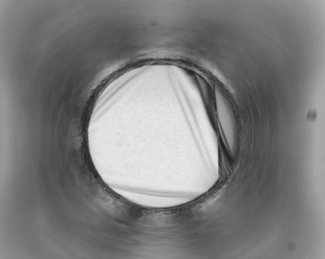 X0000091561213200709141529