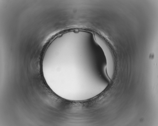 X0000091561214200709141529