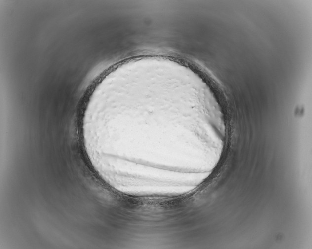 X0000091561215200709141529