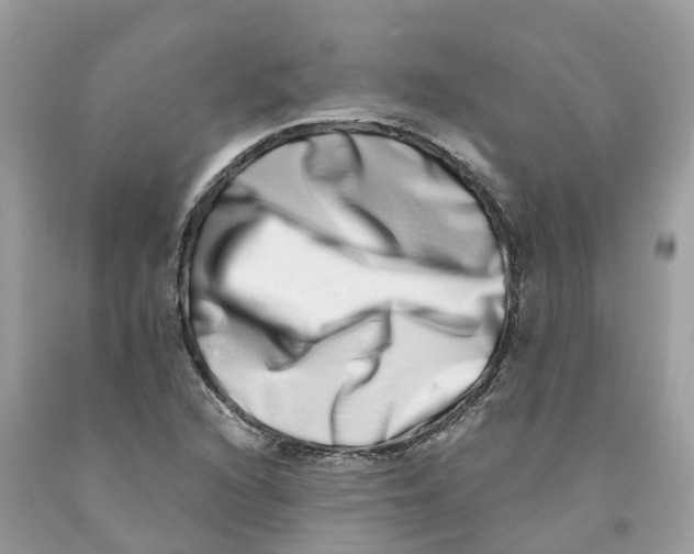 X0000091561216200709141529