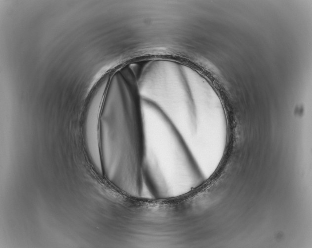 X0000091561218200709141529