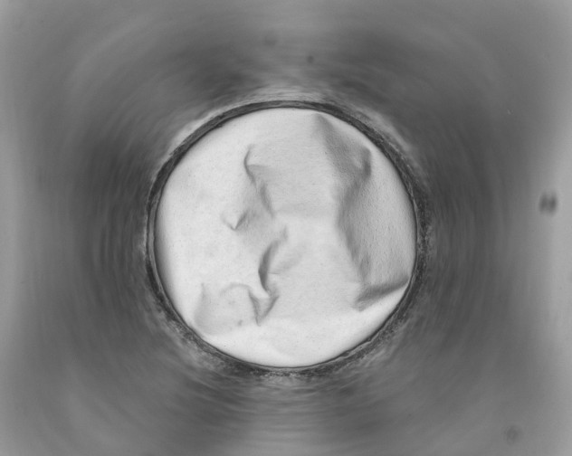 X0000091561220200709141529