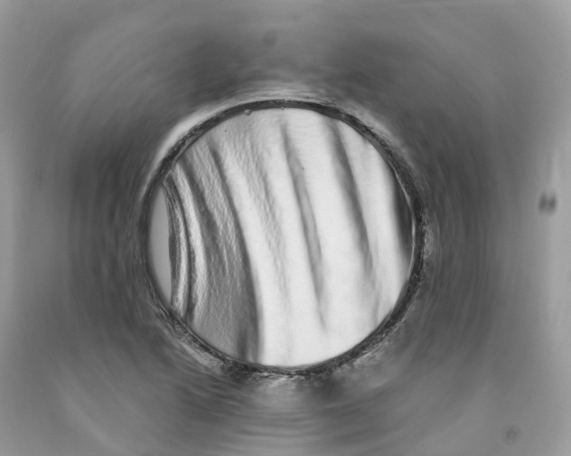 X0000091561222200709141529