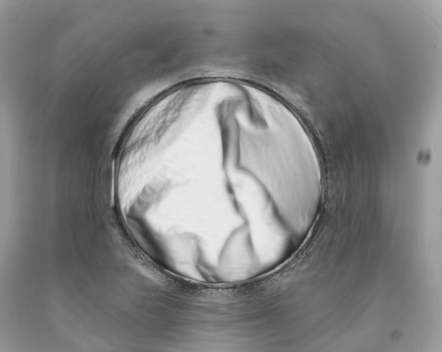 X0000091561223200709141529