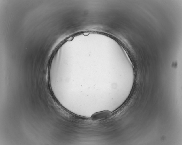 X0000091561224200709141529