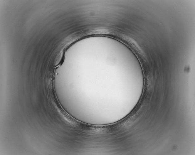 X0000091561225200709141529