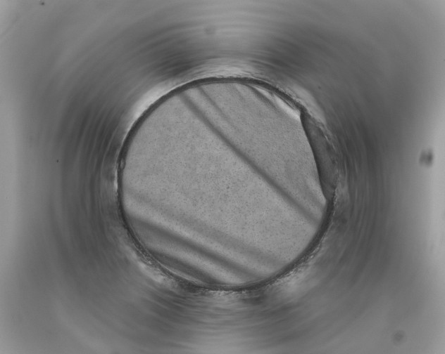 X0000091561226200709141529