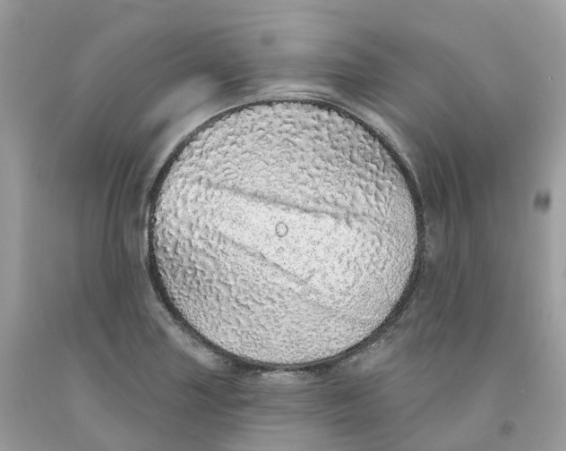 X0000091561227200709141529