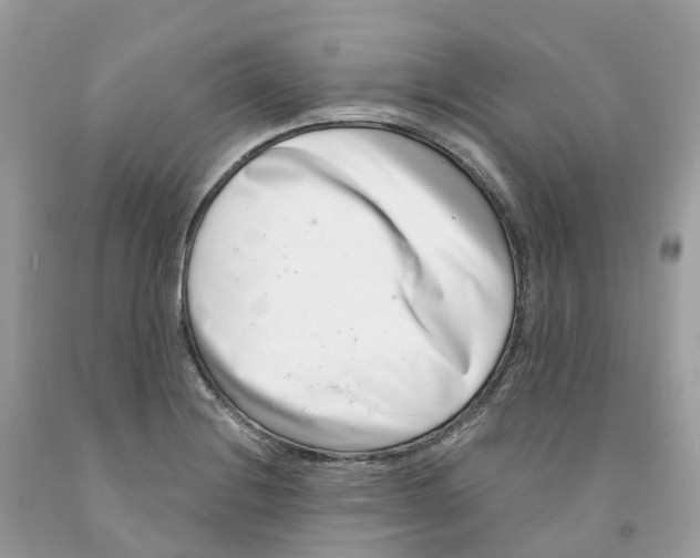 X0000091561228200709141529