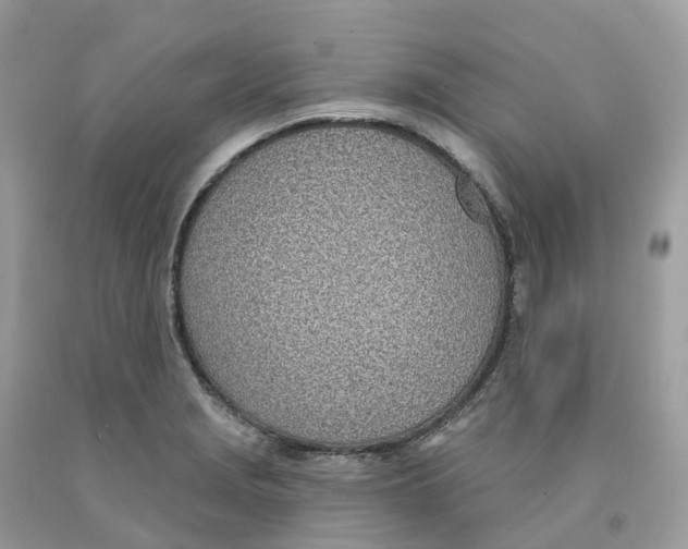 X0000091561229200709141529