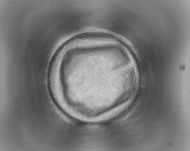 X0000091561231200709141529