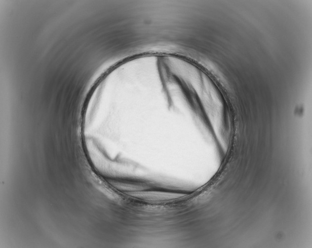 X0000091561232200709141529