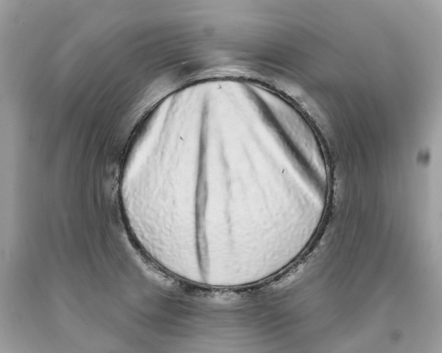 X0000091561233200709141529