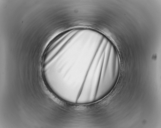 X0000091561235200709141529