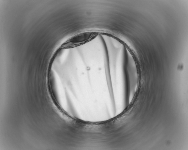 X0000091561237200709141529