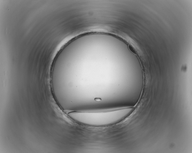 X0000091561240200709141529