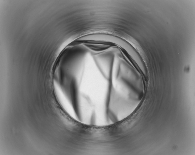 X0000091561242200709141529