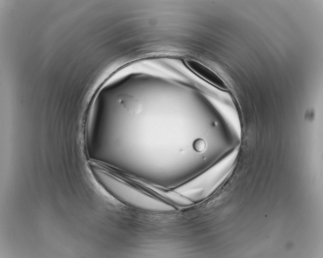 X0000091561243200709141529