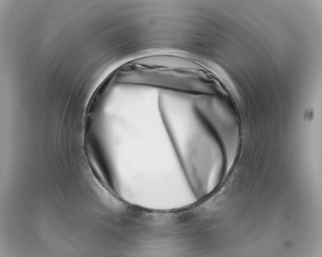 X0000091561244200709141529