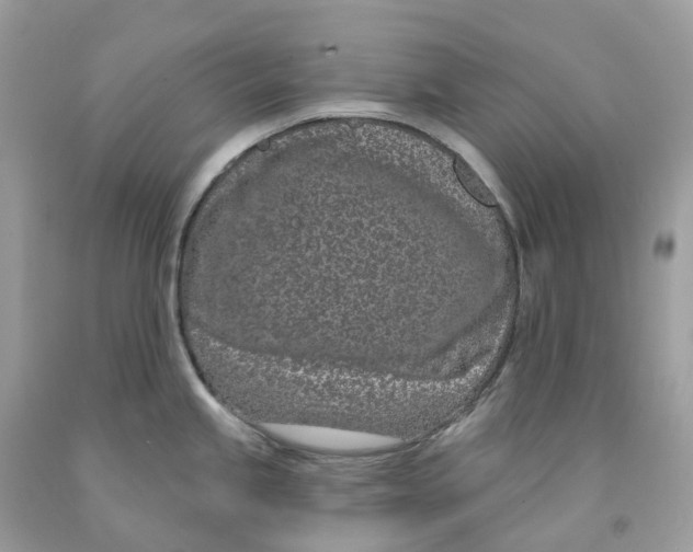 X0000091561245200709141529