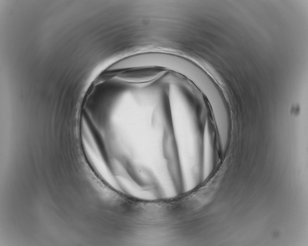 X0000091561246200709141529