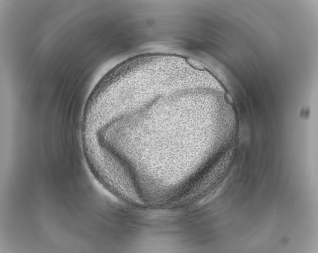 X0000091561247200709141529