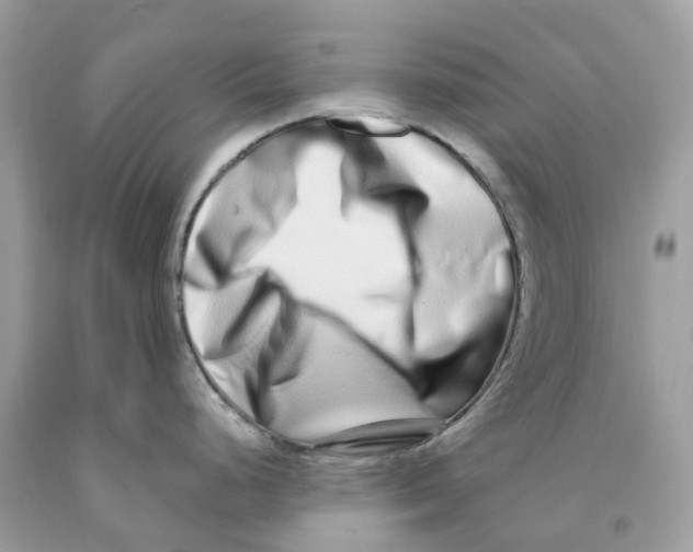 X0000091561248200709141529