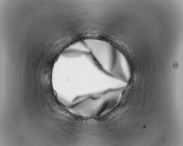 X0000091561250200709141529