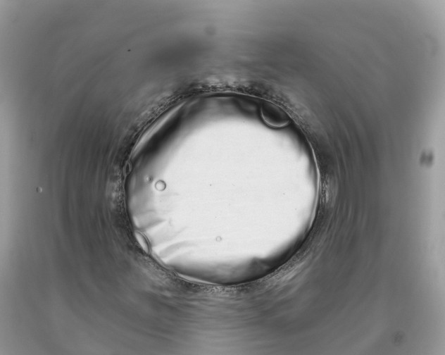 X0000091561251200709141529