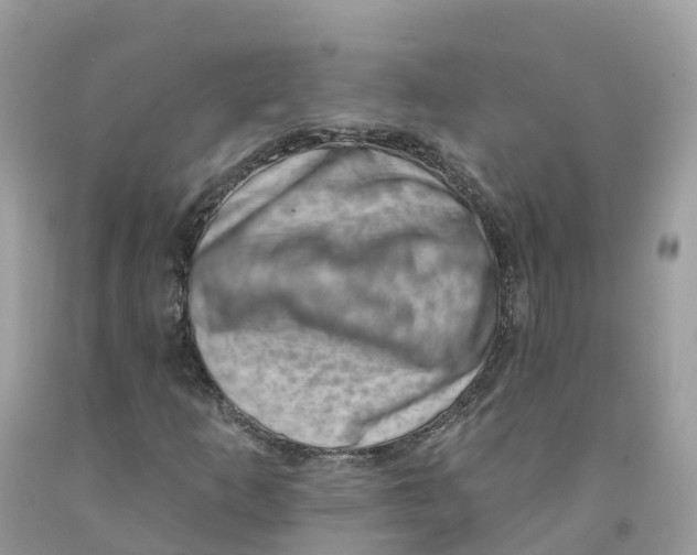 X0000091561253200709141529