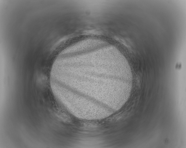 X0000091561254200709141529