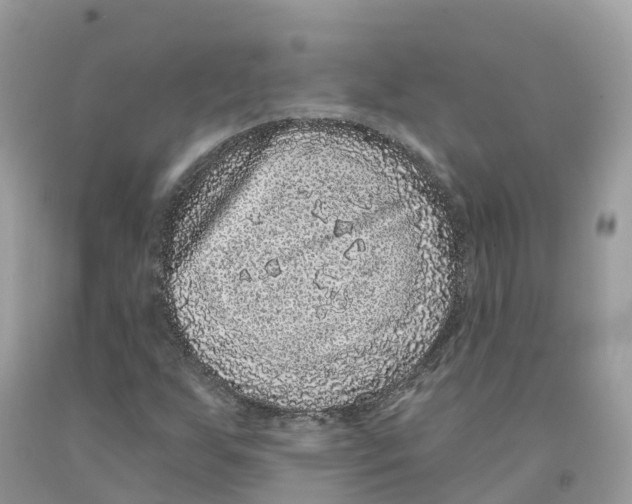 X0000091561255200709141529