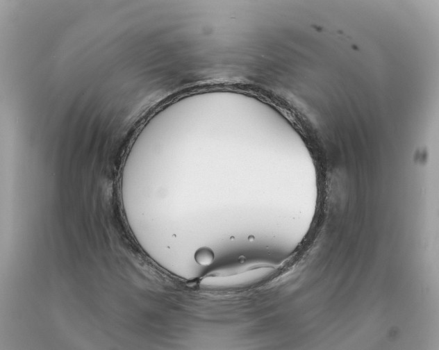 X0000091561257200709141529