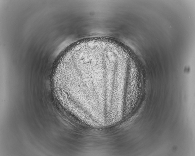 X0000091561259200709141529