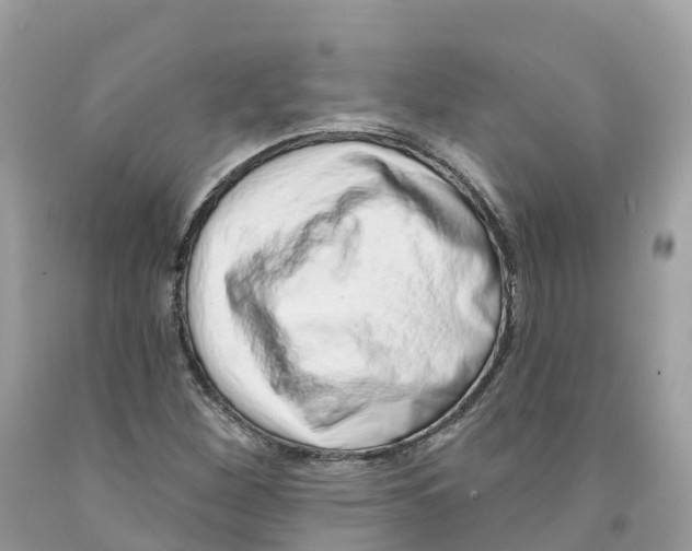 X0000091561260200709141529