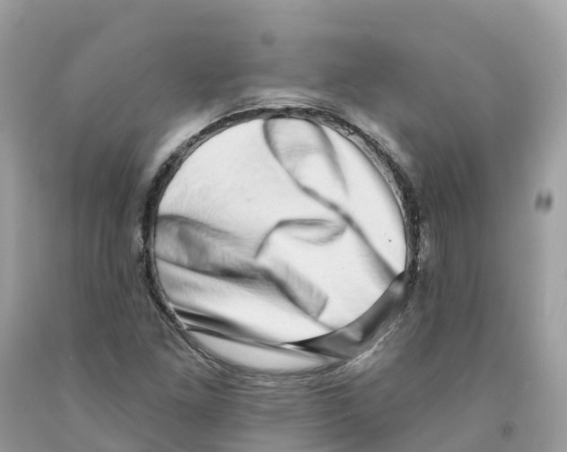 X0000091561261200709141529