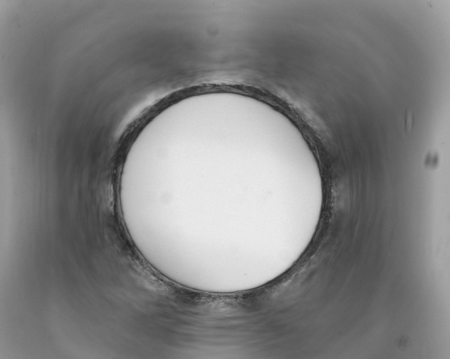 X0000091561262200709141529