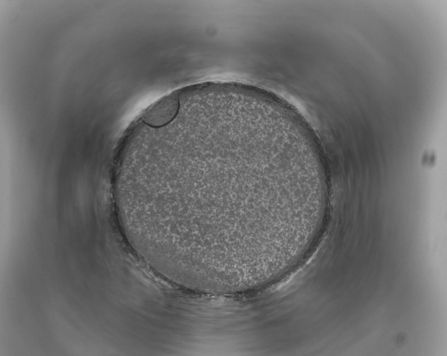 X0000091561263200709141529