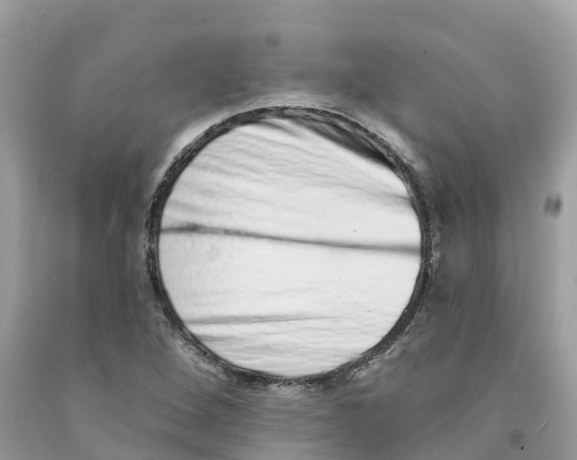 X0000091561264200709141529