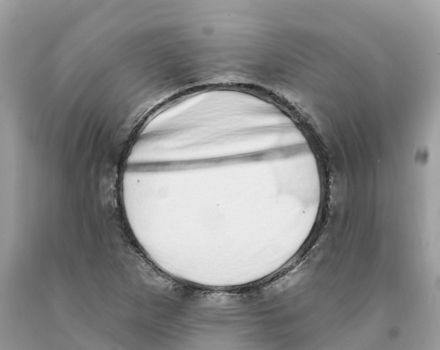 X0000091561265200709141529