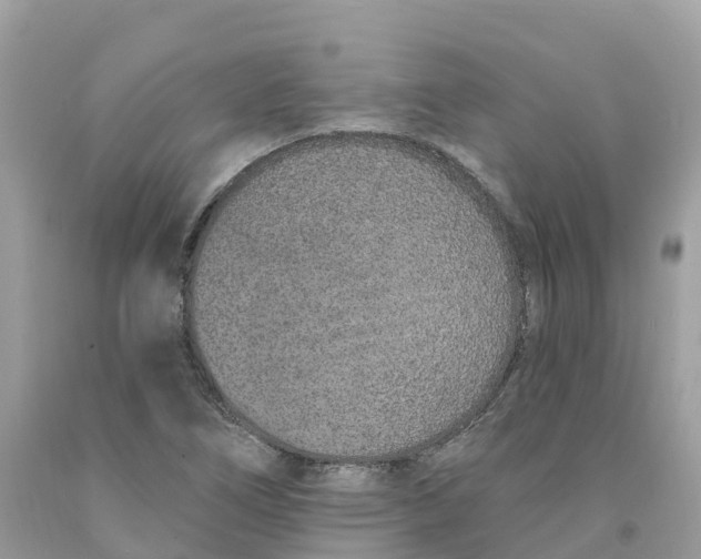 X0000091561266200709141529