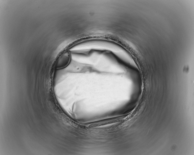 X0000091561267200709141529