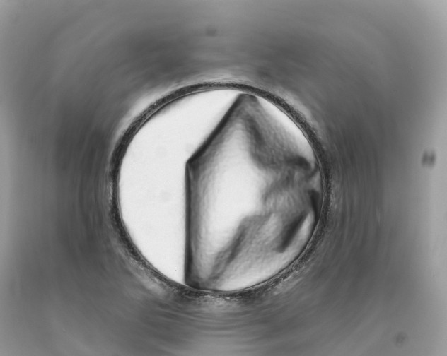 X0000091561270200709141529