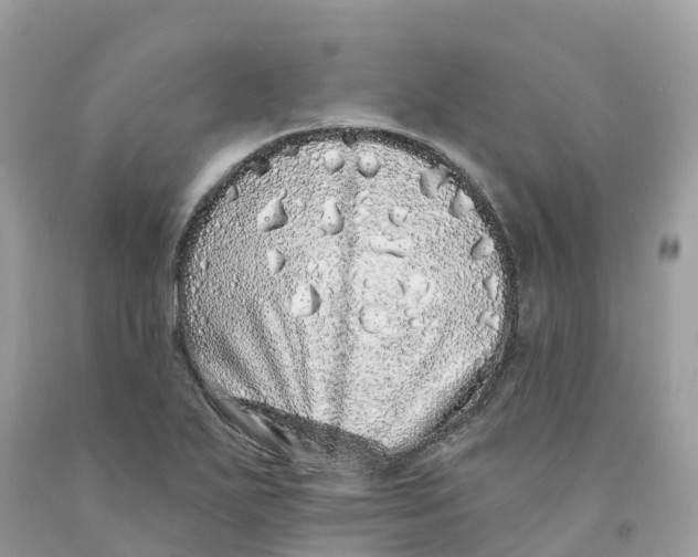 X0000091561271200709141529