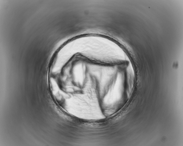 X0000091561272200709141528