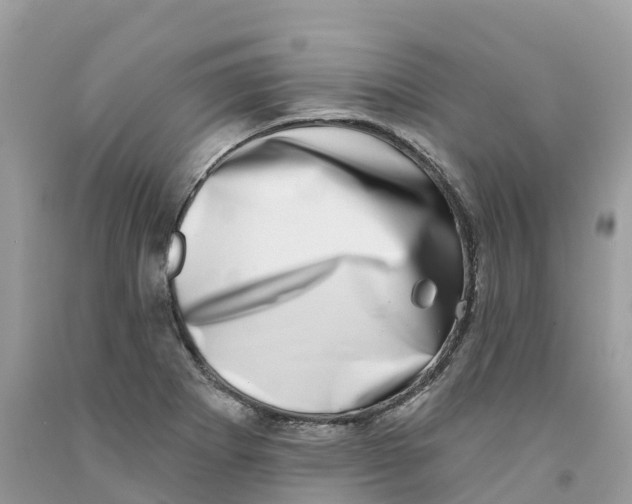 X0000091561273200709141528