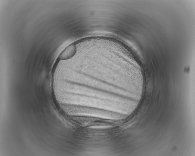 X0000091561275200709141528