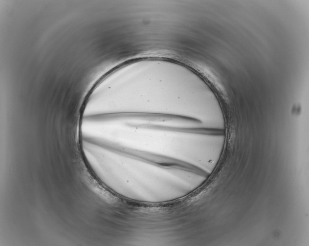 X0000091561276200709141528